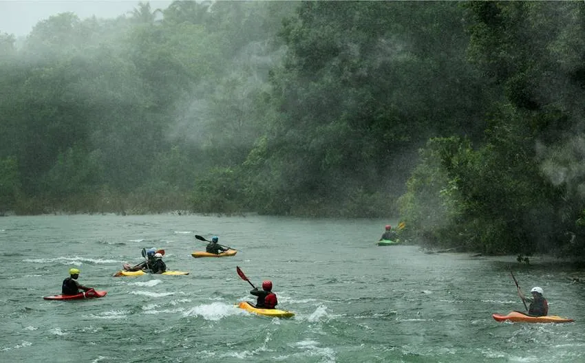 Wayanad Wildlife Sanctuary,