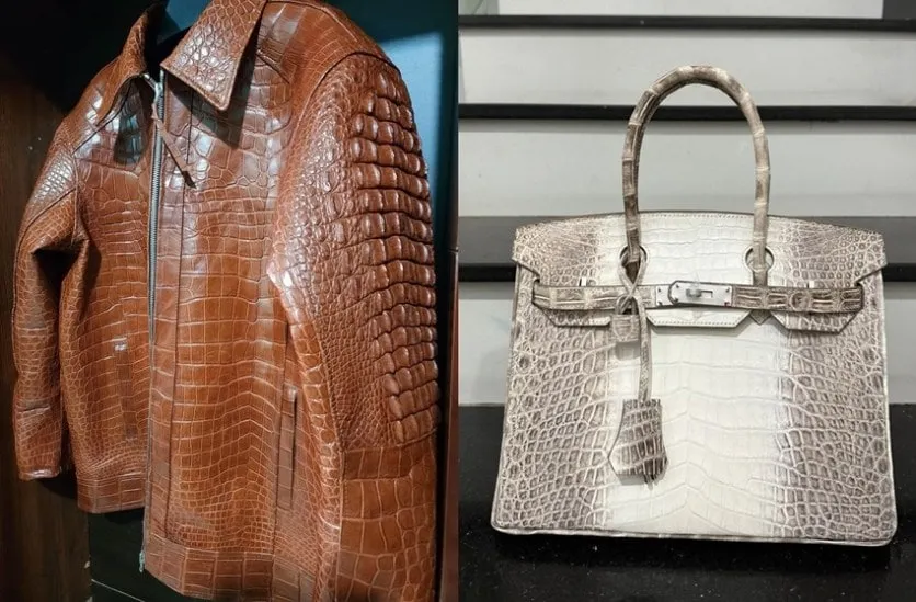 crocodile skin bag