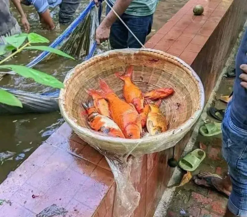 Some protesters were seen eating biryani and taking live animals such as fish, goats, hens and ducks from the residence.