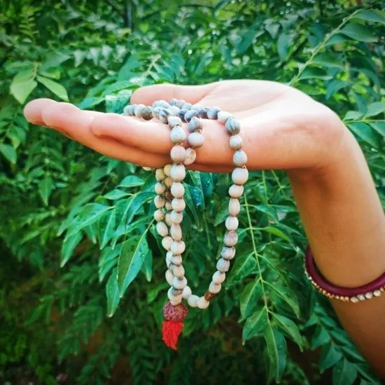 Vaijanti mala