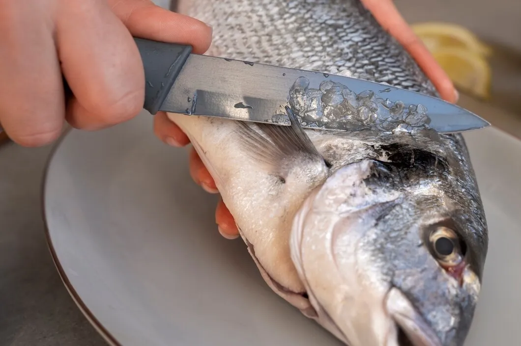 Storing Fish In Summer Tips And Tricks Expert Advice