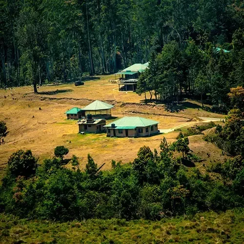 Pampadum Shola National Park