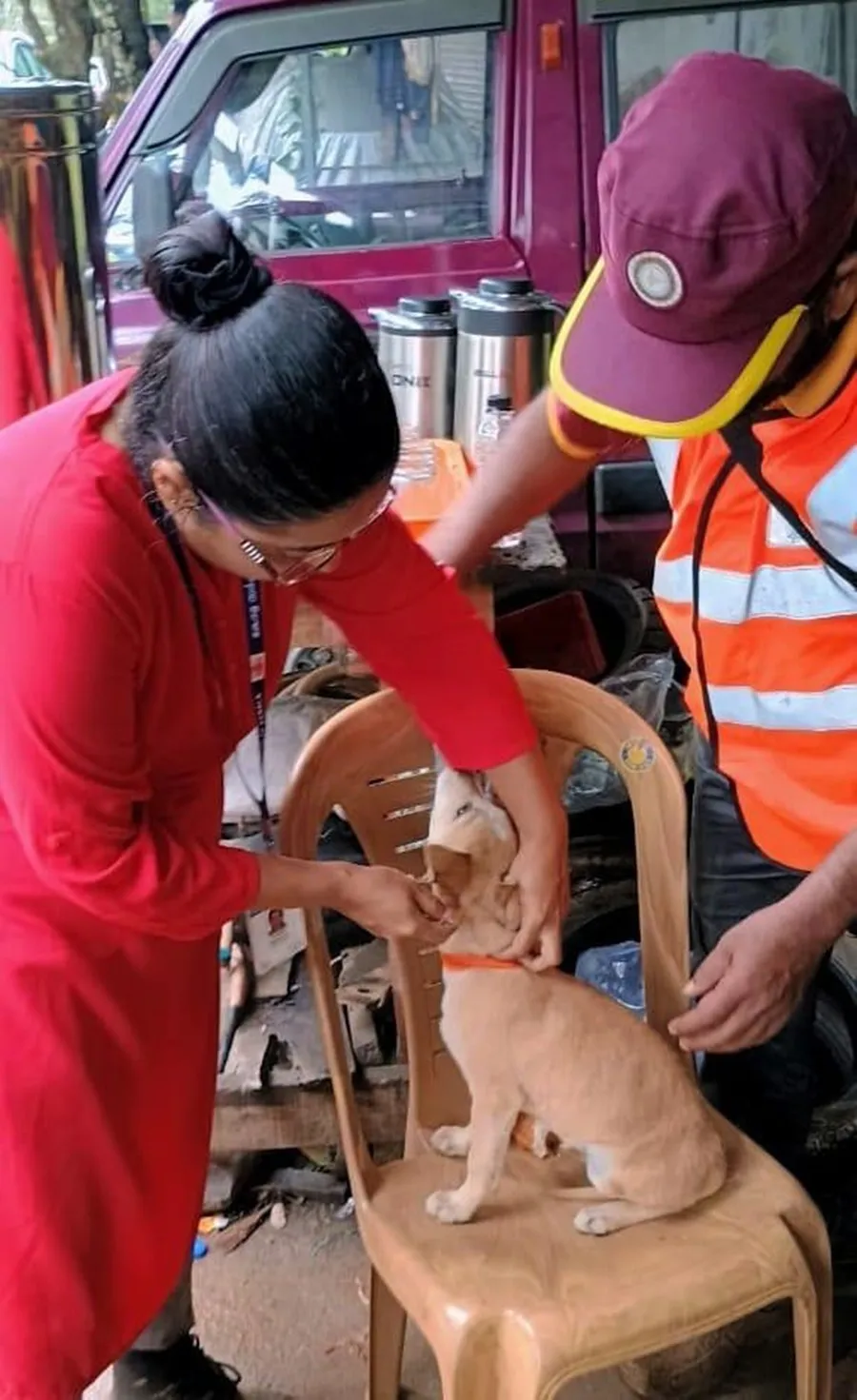 Animal Rescue Wayanad