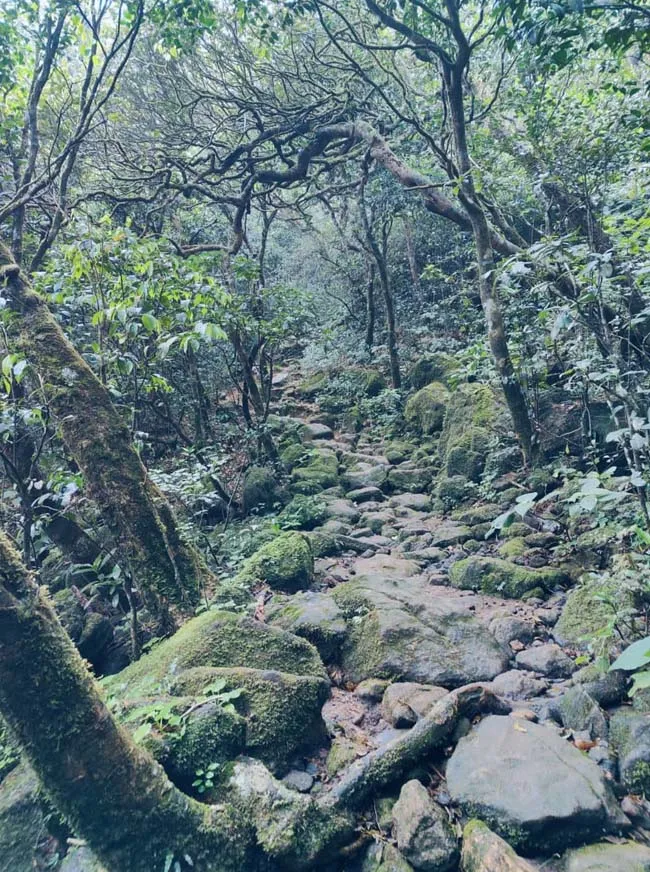 Agasthyarkoodam 