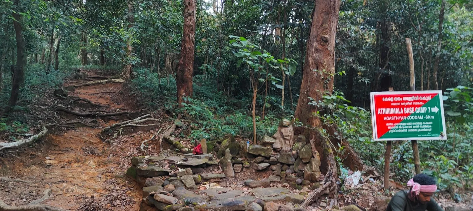 Agasthyarkoodam Base Camp