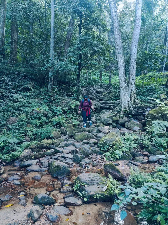 Agasthyarkoodam 