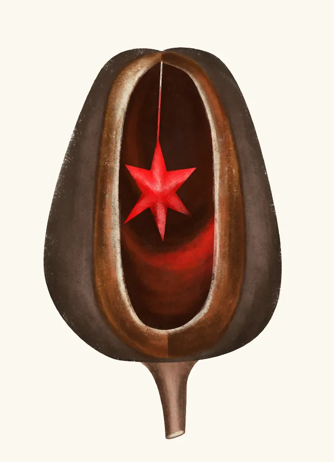 Vimeesh Maniyur  | Poem 