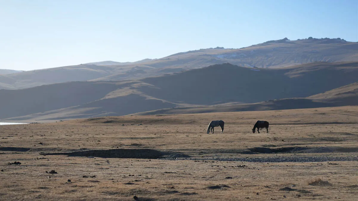 Sajan G | Travelogue  