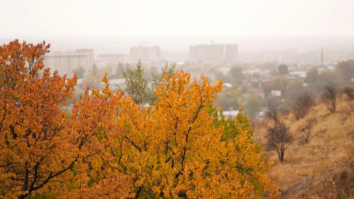 Sajan G | Travelogue  