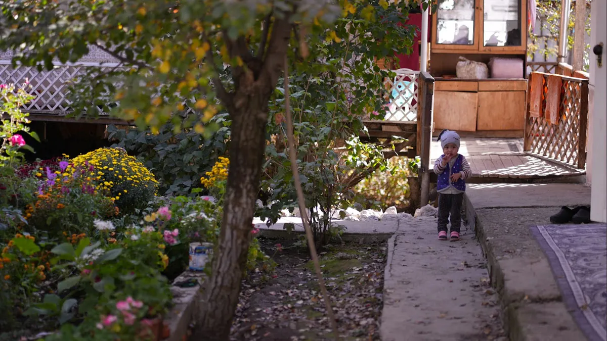 Sajan G | Travelogue  