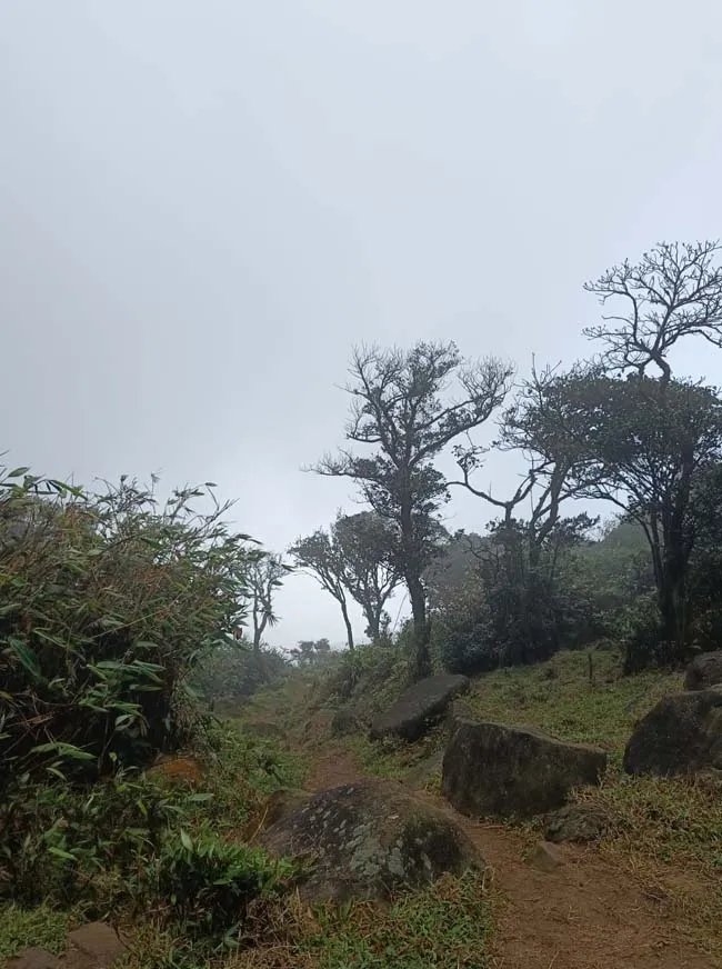 Agasthyarkoodam 