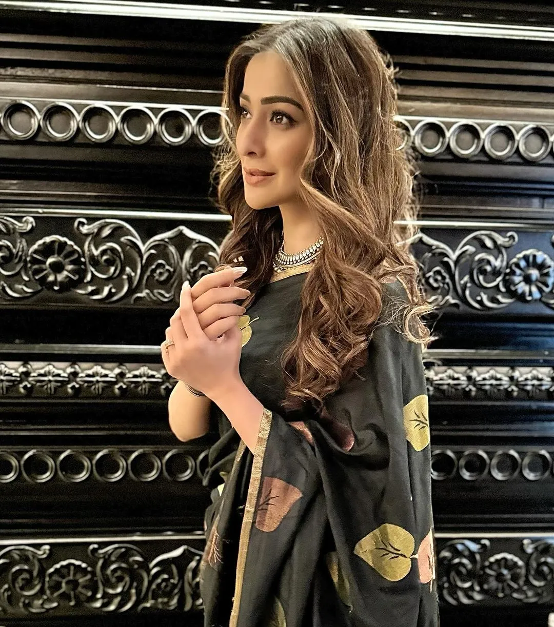 Lakshmi Rai Actress
