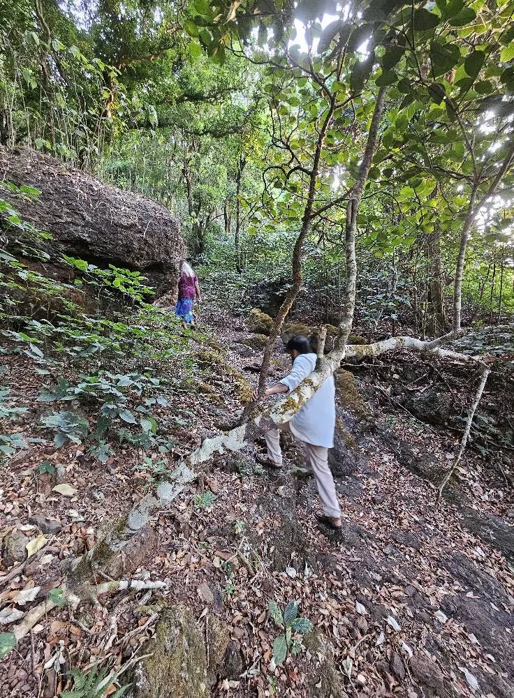 Mohanlal Kudajadri
