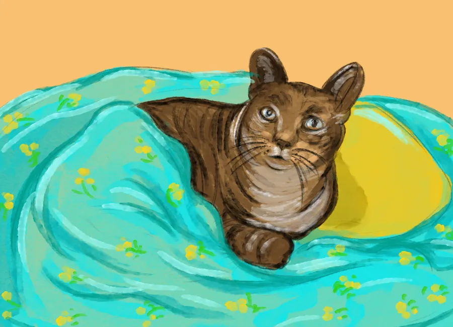 S R Lal Novel Part 20