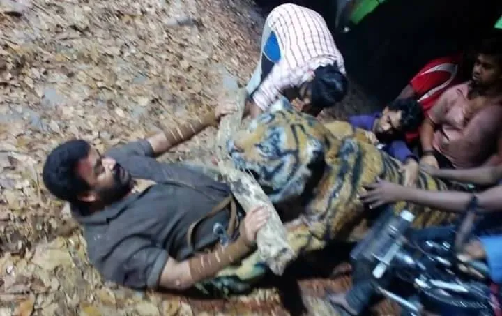 pulimurugan-1