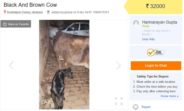 olx