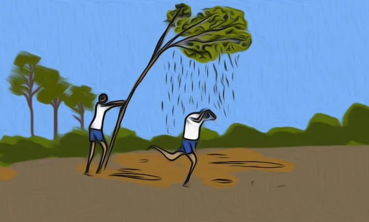 school, school children