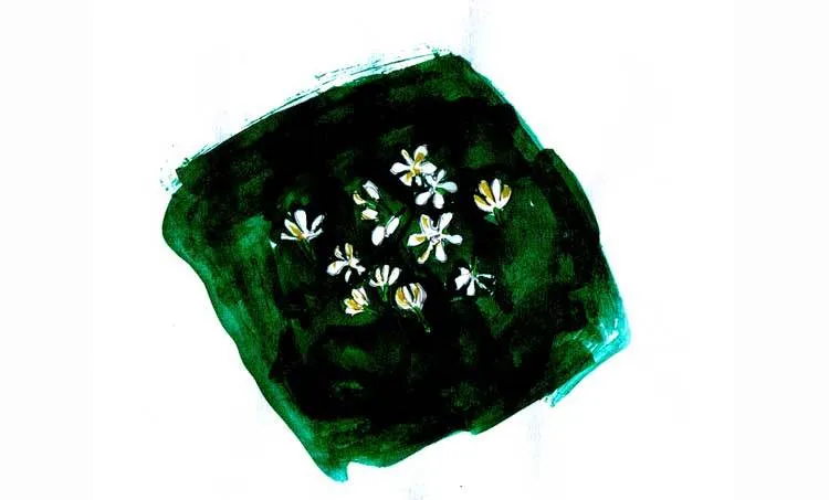 sunitha harikuamr, memories, tree