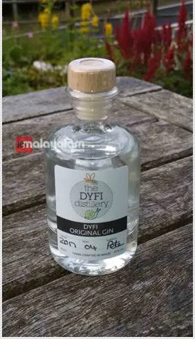 dyfi, dyfi distillery, jin