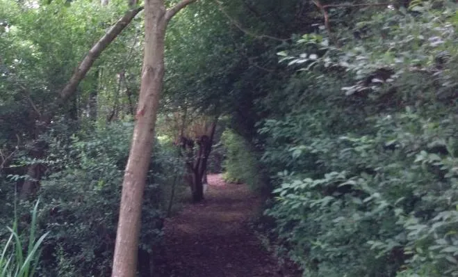 woods, pramal,london, travel, 