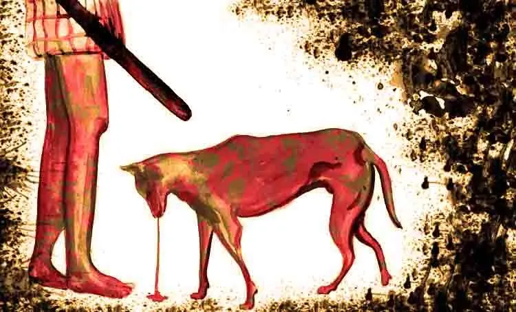 vinoy thomas, rahul radhakrishnan, dc books, 