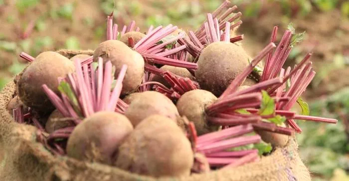 ramdas, oanam, vegetables,