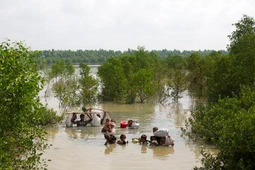 rohingya, shebeen, journalist, 