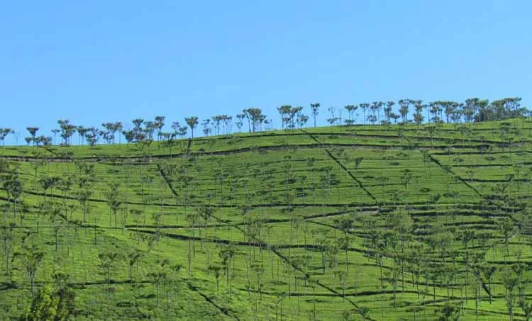 kottagiri, ooty, travel, tourism, pramal,