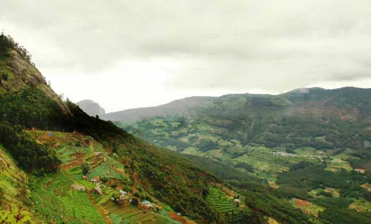 kottakkambur, kottakamboor, neelakurinji, land issue, idukki,