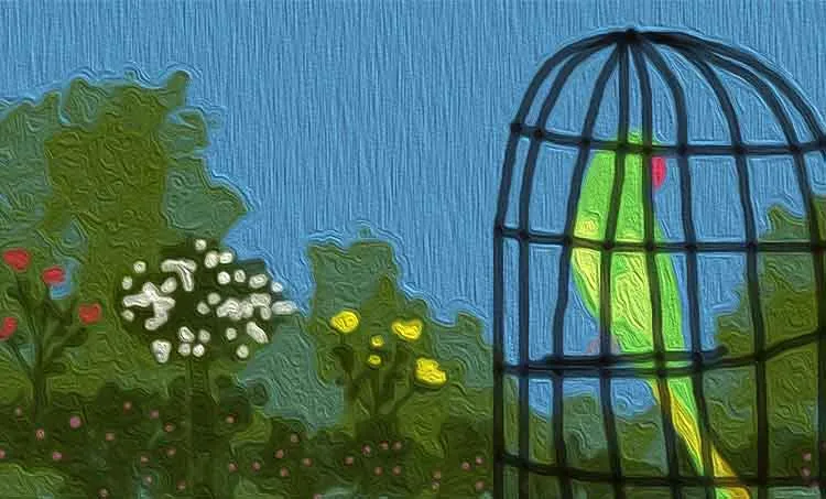 gabriel garcia marquez,dr. rajesh kumar m.p, reading,books ,