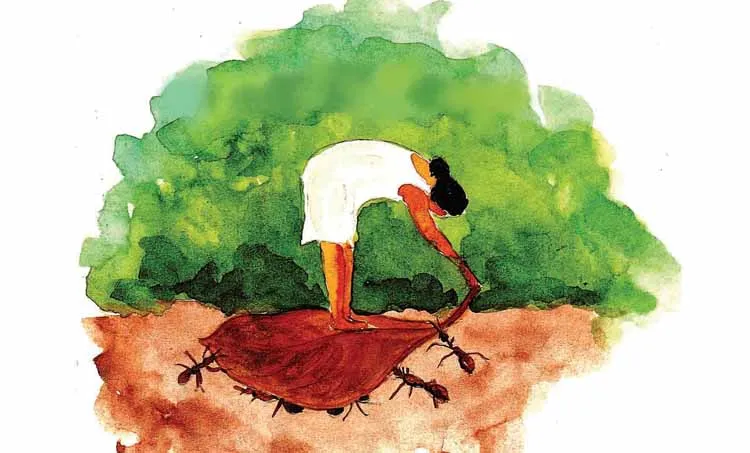 sugathakumari,malayalam,poet,m.a baby