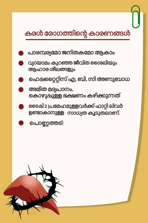 liver, liver function, main function of liver, definition of liver, structrure of liver, liver disease, liver pain, liver anatomy, what does the liver do, fatty liver, fatty liver disease, fatty liver symptoms,l fatty liver diet, fatty liver foods to avoid, fatty liver causes, fatty liver treatment, fatty liver diet menu, liver transplantation, liver transplant in india, liver transplant cost, liver transplant cost kerala, liver transplant donor, liver transplant cost in india, liver treatment, liver transplant success rate, liver transplantation surgery, liver trauma radiology, കരള്‍, കരള്‍ രോഗങ്ങള്‍ 