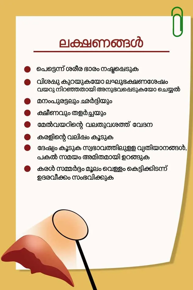 liver, liver function, main function of liver, definition of liver, structrure of liver, liver disease, liver pain, liver anatomy, what does the liver do, fatty liver, fatty liver disease, fatty liver symptoms,l fatty liver diet, fatty liver foods to avoid, fatty liver causes, fatty liver treatment, fatty liver diet menu, liver transplantation, liver transplant in india, liver transplant cost, liver transplant cost kerala, liver transplant donor, liver transplant cost in india, liver treatment, liver transplant success rate, liver transplantation surgery, liver trauma radiology, കരള്‍, കരള്‍ രോഗങ്ങള്‍ 