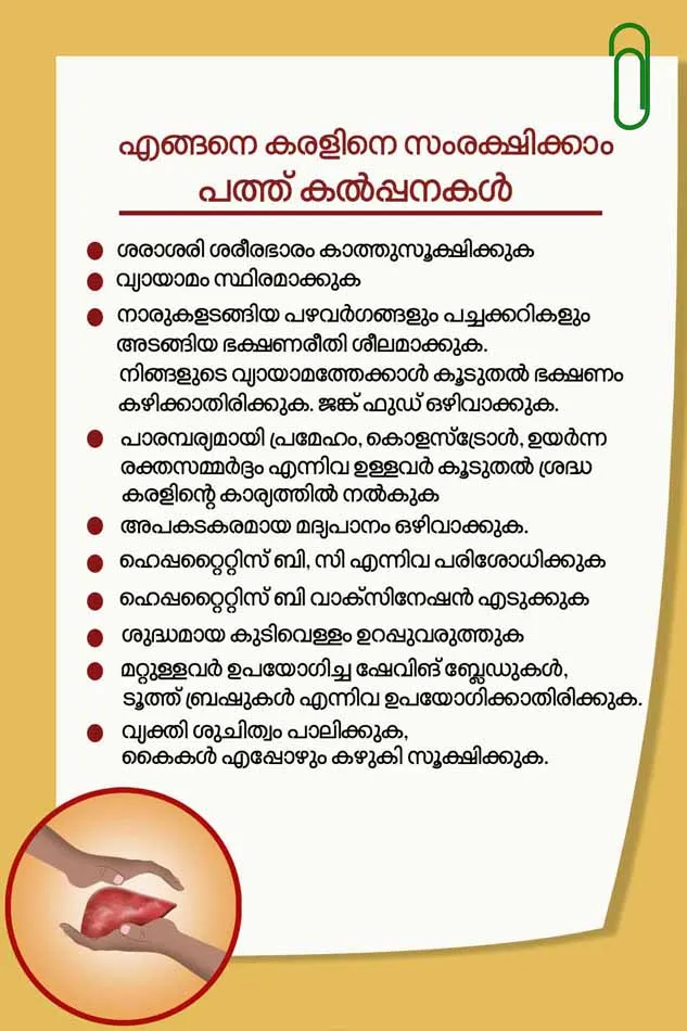 liver, liver function, main function of liver, definition of liver, structrure of liver, liver disease, liver pain, liver anatomy, what does the liver do, fatty liver, fatty liver disease, fatty liver symptoms,l fatty liver diet, fatty liver foods to avoid, fatty liver causes, fatty liver treatment, fatty liver diet menu, liver transplantation, liver transplant in india, liver transplant cost, liver transplant cost kerala, liver transplant donor, liver transplant cost in india, liver treatment, liver transplant success rate, liver transplantation surgery, liver trauma radiology, കരള്‍, കരള്‍ രോഗങ്ങള്‍ 