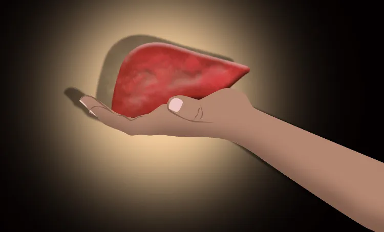 liver, liver function, main function of liver, definition of liver, structrure of liver, liver disease, liver pain, liver anatomy, what does the liver do, fatty liver, fatty liver disease, fatty liver symptoms,l fatty liver diet, fatty liver foods to avoid, fatty liver causes, fatty liver treatment, fatty liver diet menu, liver transplantation, liver transplant in india, liver transplant cost, liver transplant cost kerala, liver transplant donor, liver transplant cost in india, liver treatment, liver transplant success rate, liver transplantation surgery, liver trauma radiology, കരള്‍, കരള്‍ രോഗങ്ങള്‍ 