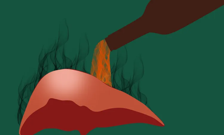 liver, liver function, main function of liver, definition of liver, structrure of liver, liver disease, liver pain, liver anatomy, what does the liver do, fatty liver, fatty liver disease, fatty liver symptoms,l fatty liver diet, fatty liver foods to avoid, fatty liver causes, fatty liver treatment, fatty liver diet menu, liver transplantation, liver transplant in india, liver transplant cost, liver transplant cost kerala, liver transplant donor, liver transplant cost in india, liver treatment, liver transplant success rate, liver transplantation surgery, liver trauma radiology, കരള്‍, കരള്‍ രോഗങ്ങള്‍ 