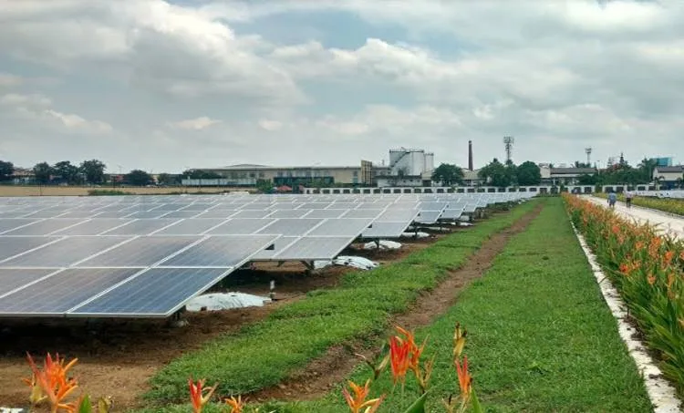 cial solar plant