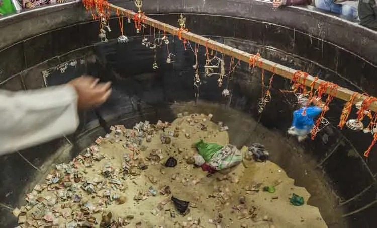 ajmeer, naseel voici