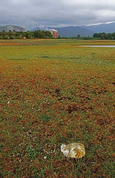 hariharan subrahmanyan, photography