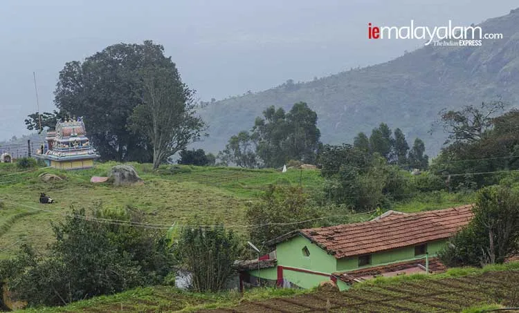 hariharan subramanian, neelakurinji,photos