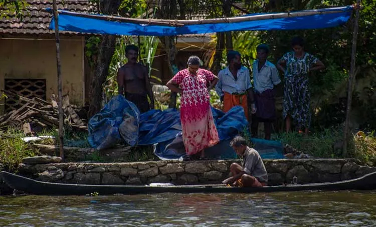 Flood hit Kuttanad struggles to get back on track 