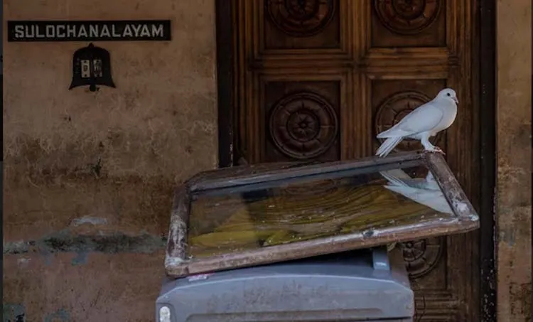 Flood hit Kuttanad struggles to get back on track 