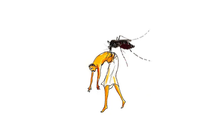 Dengue fever symptoms, treatment and causes