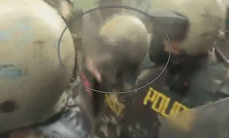 publive-image