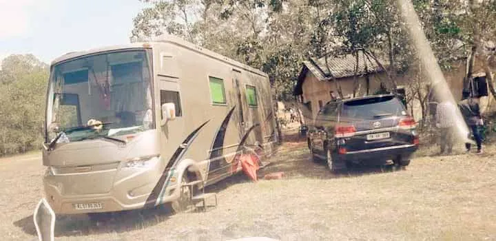 publive-image