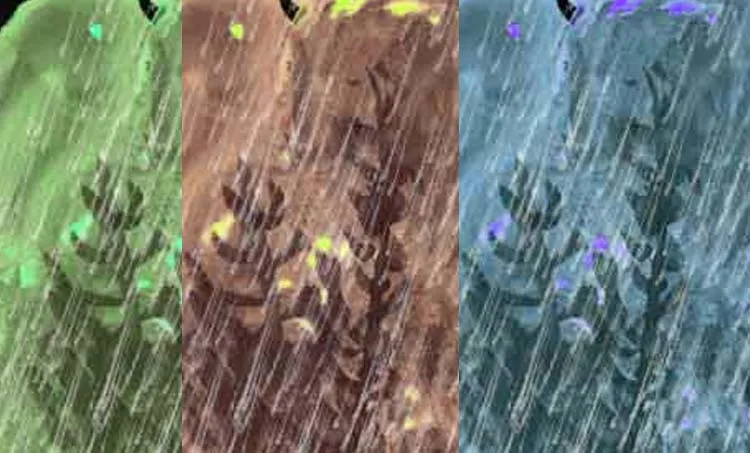 e santhoshkumar,rain,memories