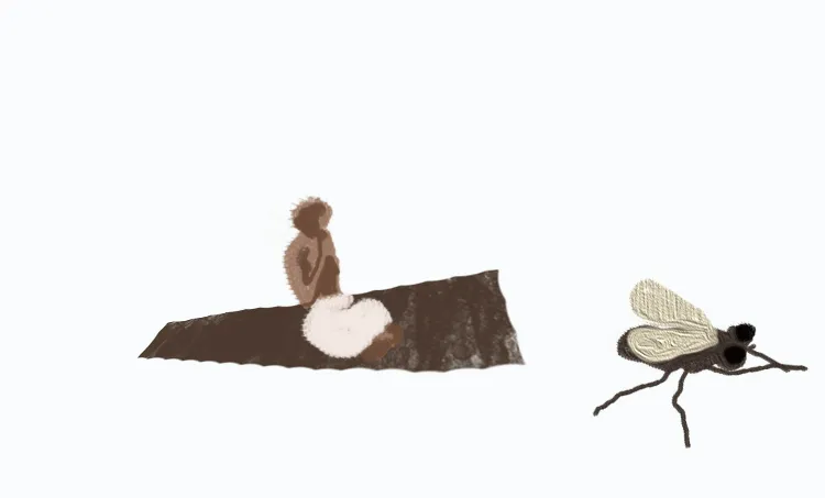 sabeena m.sali, story