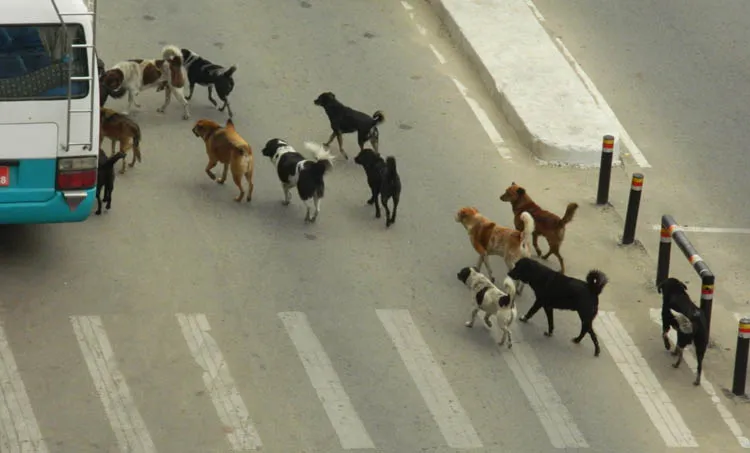 aymanam john,memories