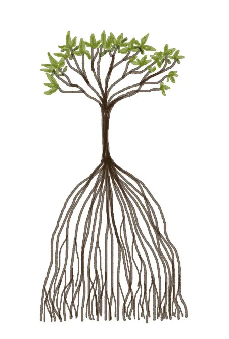 damodar radhakrishnan, story