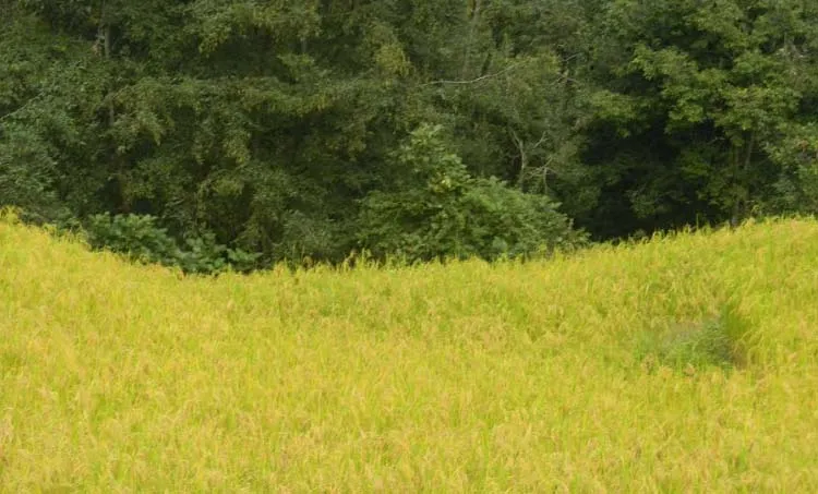 bhutan travel, aymanam john